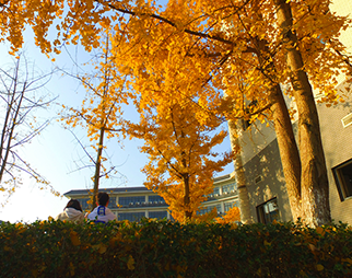 Chongqing University of Education — campus