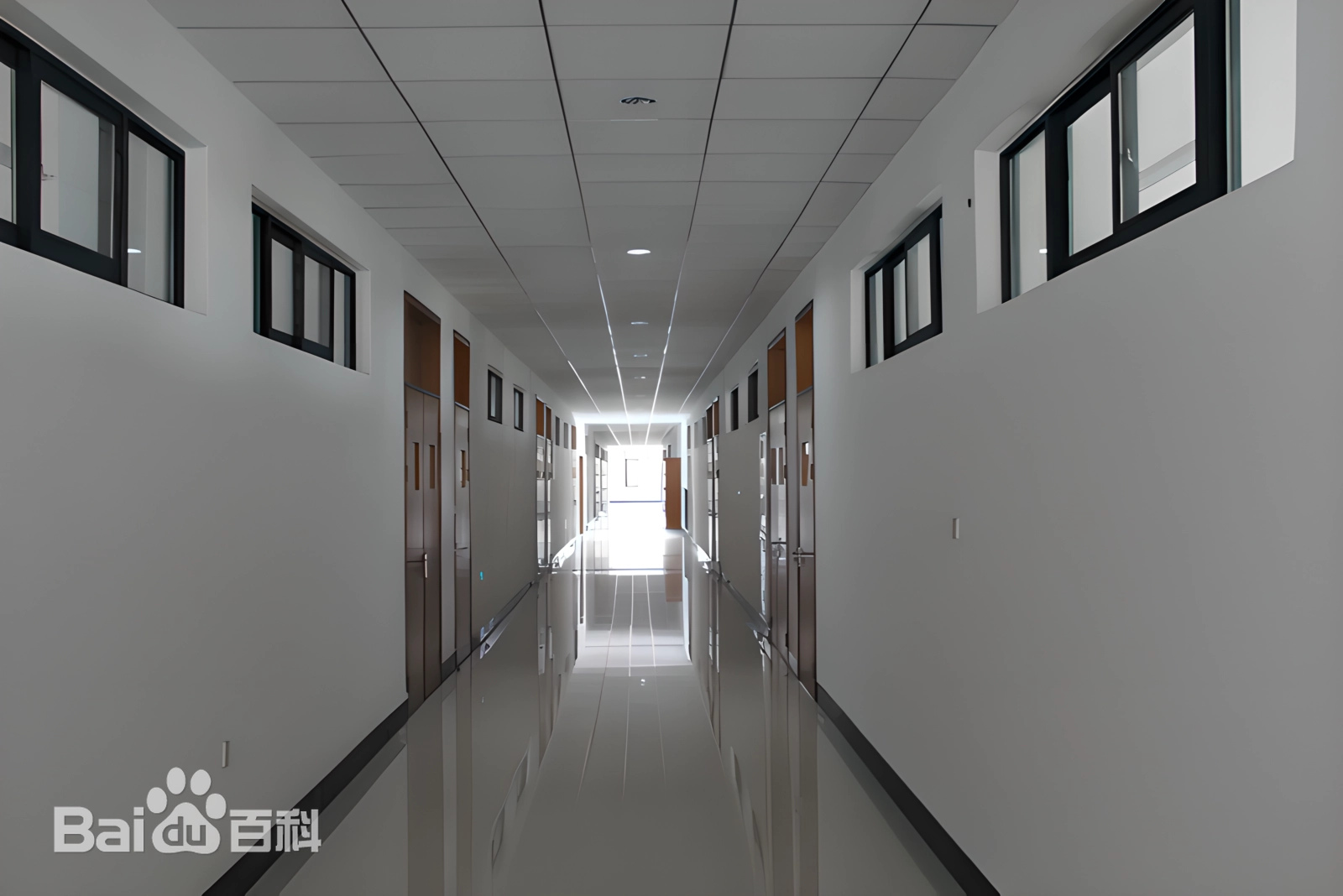 Communication University of Zhejiang — campus