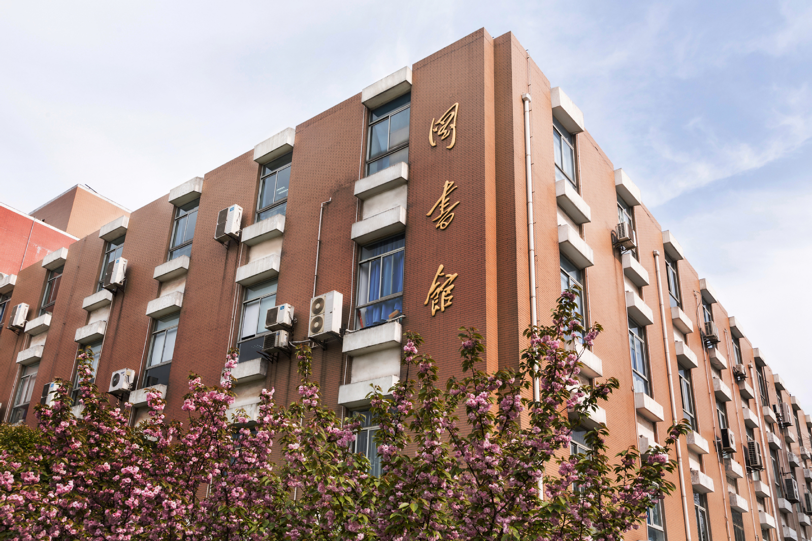 Fudan University — library
