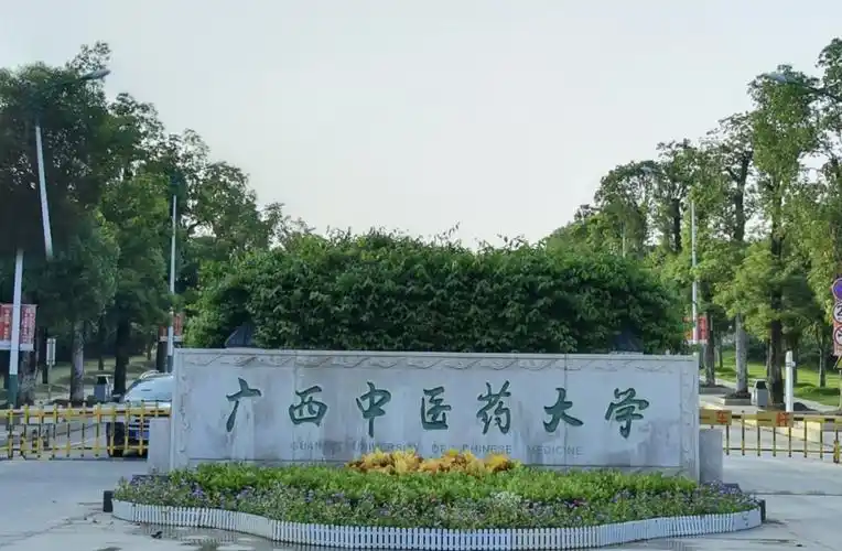 Guangxi University of Traditional Chinese Medicine — campus