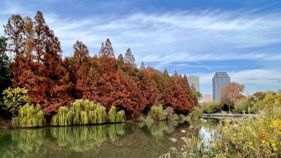 Hubei University of Technology — campus