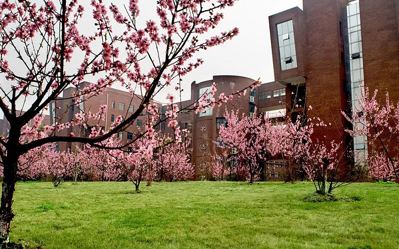 Jiangxi Normal University — campus