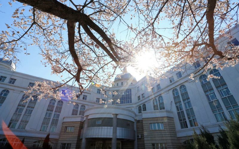 Jilin University — campus