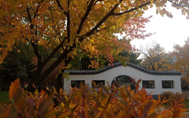 Jilin University — campus