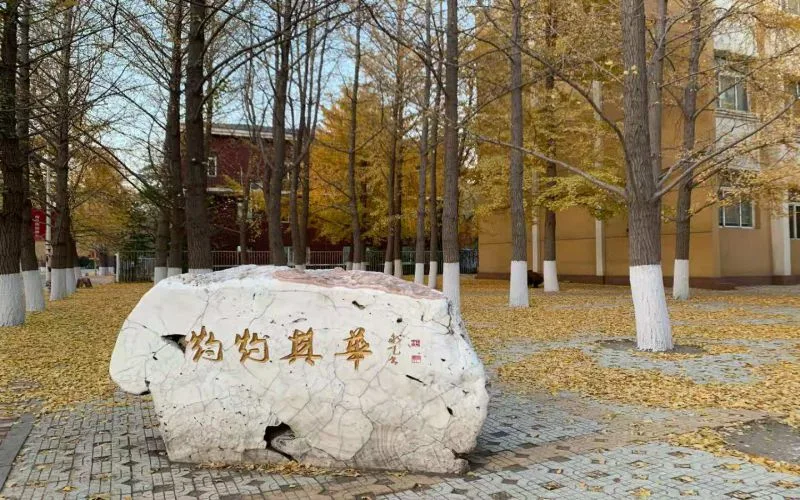 Liaoning University — campus