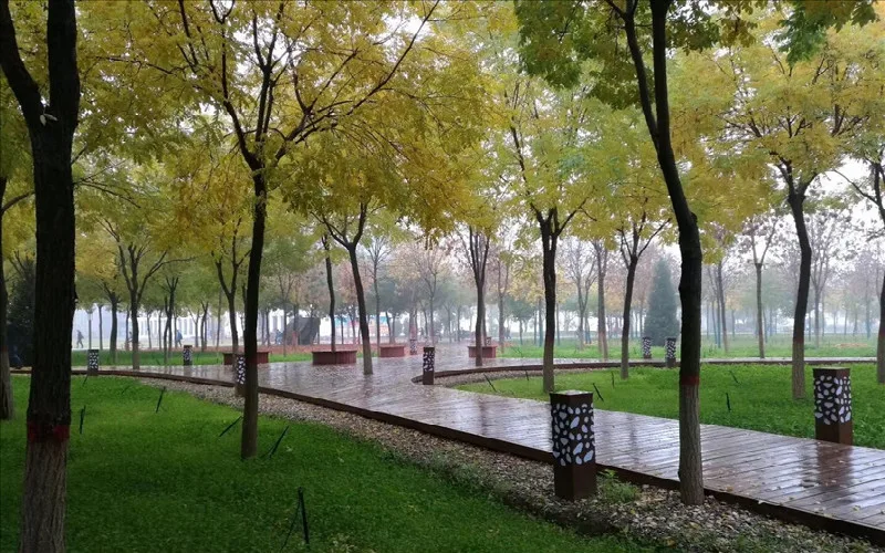 Ningxia Medical University — campus