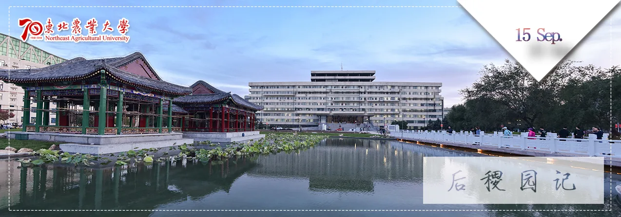Northeast Agricultural University campus