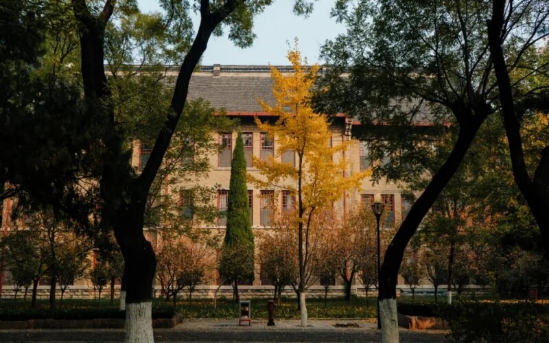 Shandong University — campus