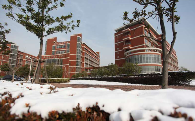 Shanghai Jiao Tong University — campus
