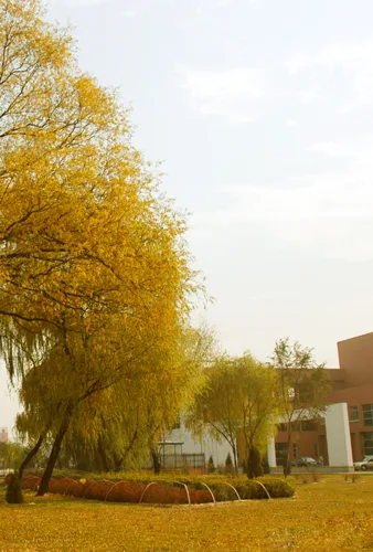 Shanxi University — campus