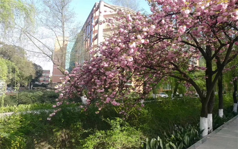 Sichuan Normal University — campus
