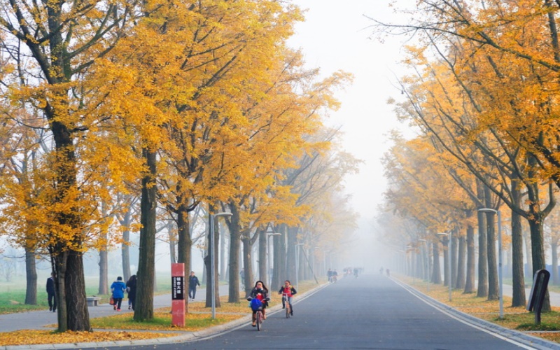 University of Electronic Science and Technology of China — campus