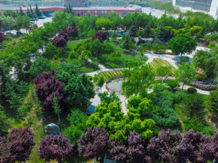 Xi'an Medical University — campus