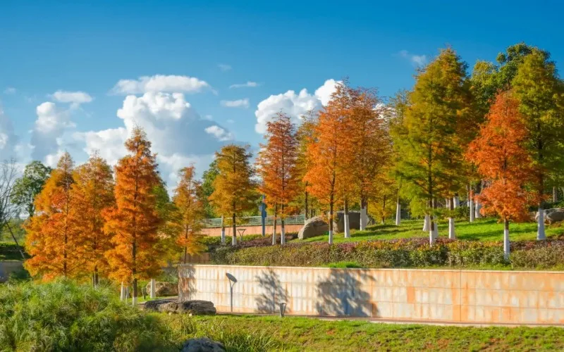 Yunnan University of Finance and Economics — campus