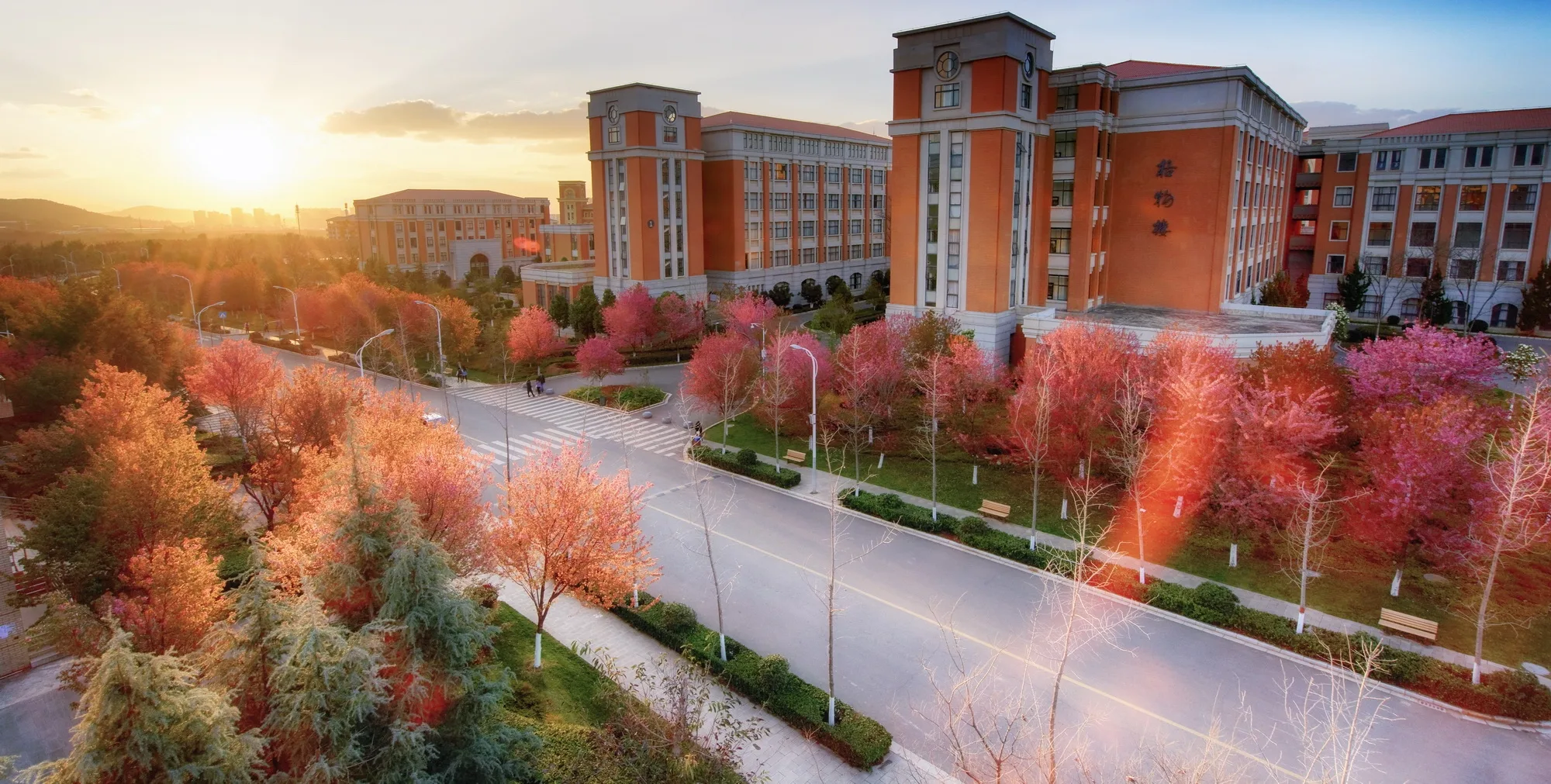 Yunnan University — campus